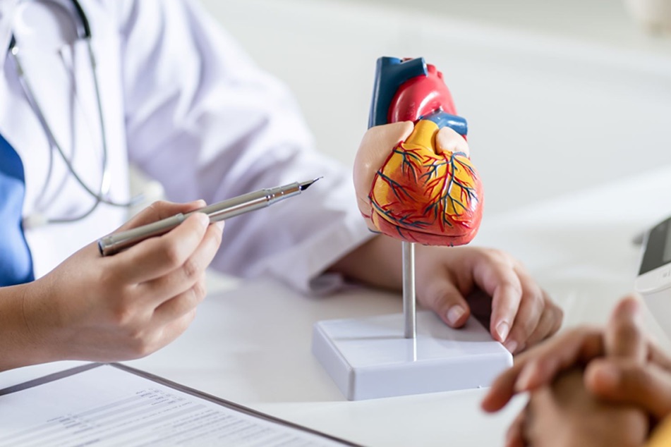 Médico apontando para um modelo anatômico do coração durante uma consulta